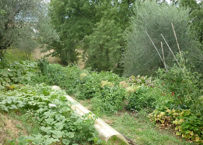 Cascina Dei Peri *